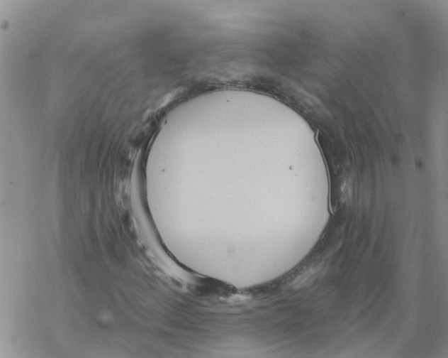 X0000068771156200605262159