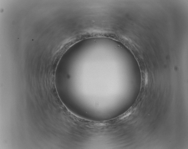 X0000068771157200605262159