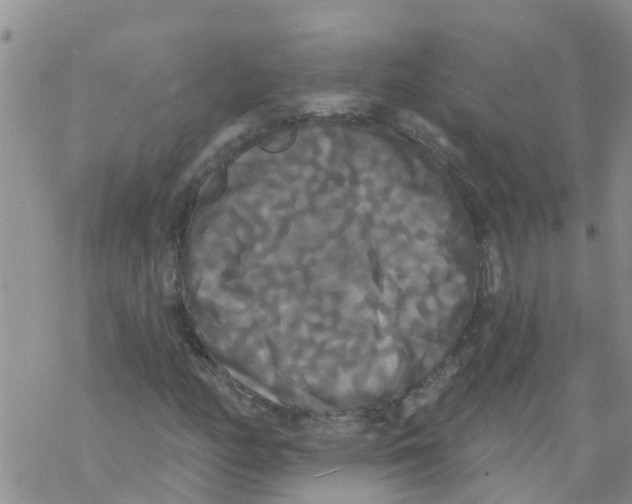 X0000068771158200605262159