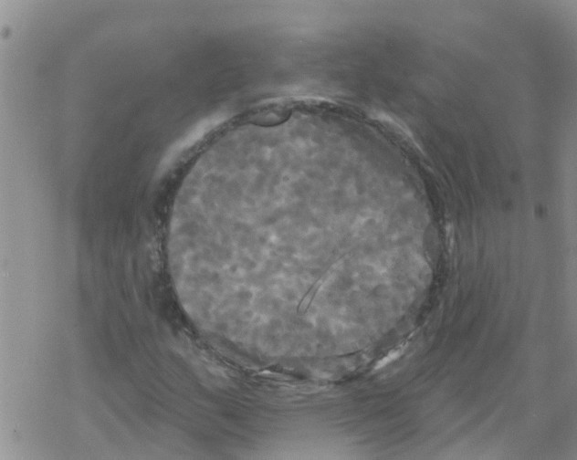 X0000068771159200605262159