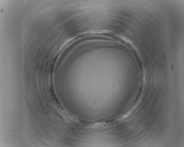 X0000068771161200605262159