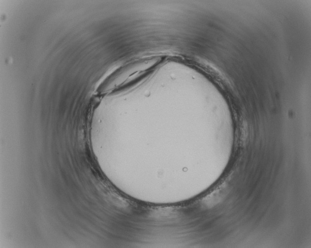 X0000068771162200605262159