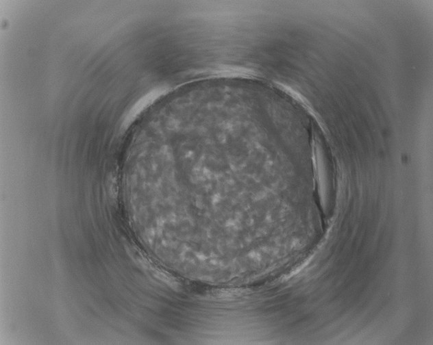 X0000068771163200605262159