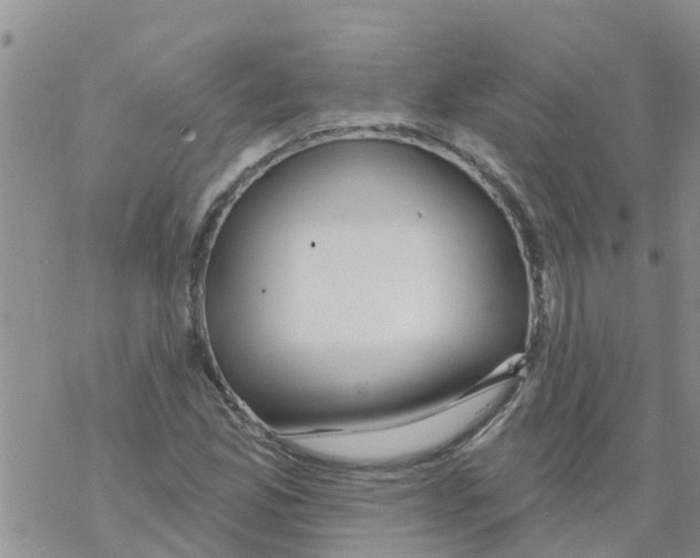 X0000068771165200605262159