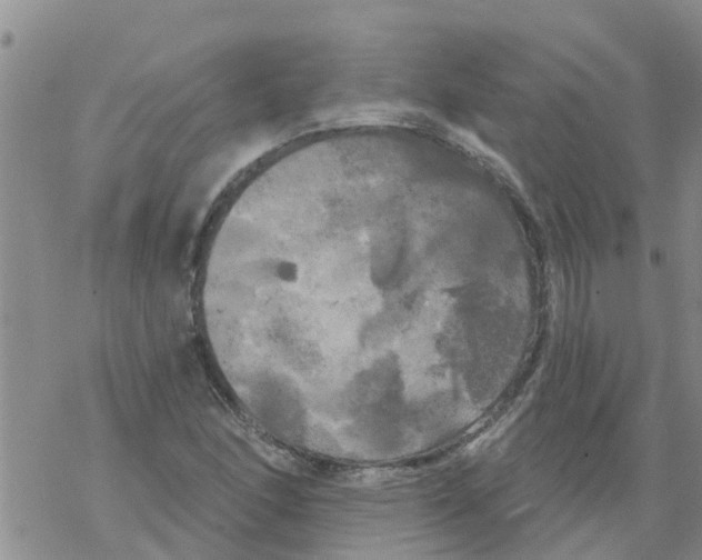 X0000068771166200605262159