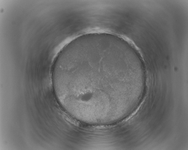 X0000068771167200605262159