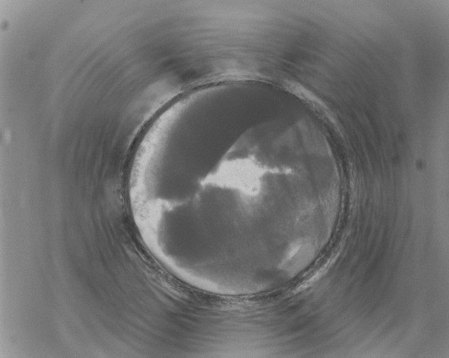 X0000068771170200605262159