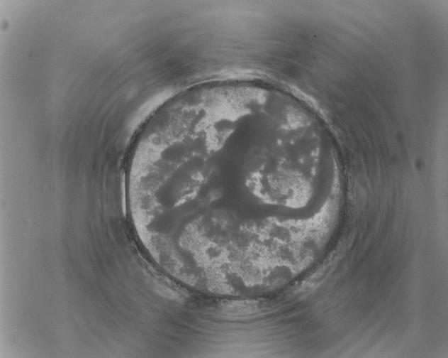 X0000068771171200605262159