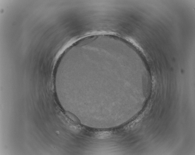 X0000068771173200605262159