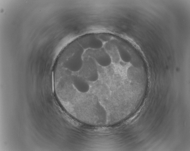 X0000068771175200605262159