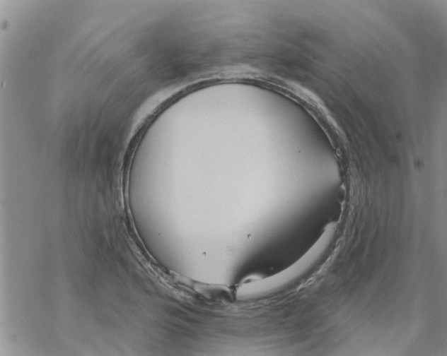 X0000068771176200605262159