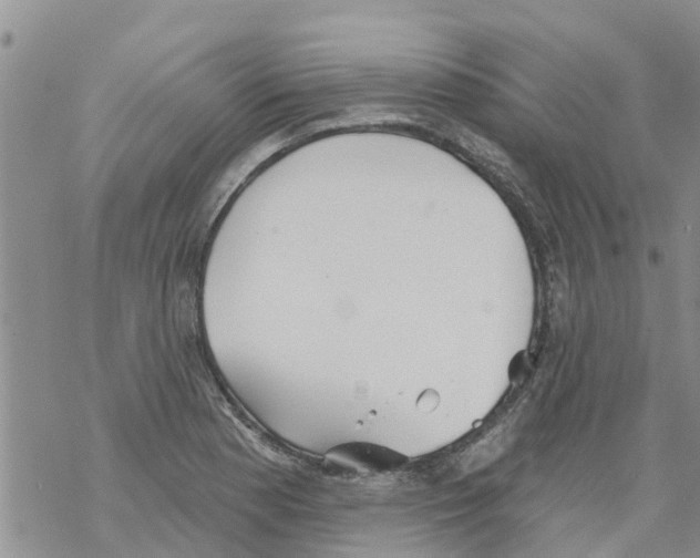 X0000068771177200605262159