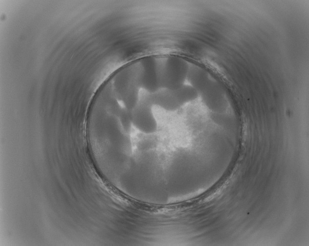 X0000068771178200605262158