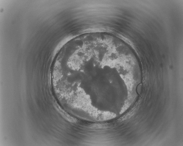 X0000068771179200605262158