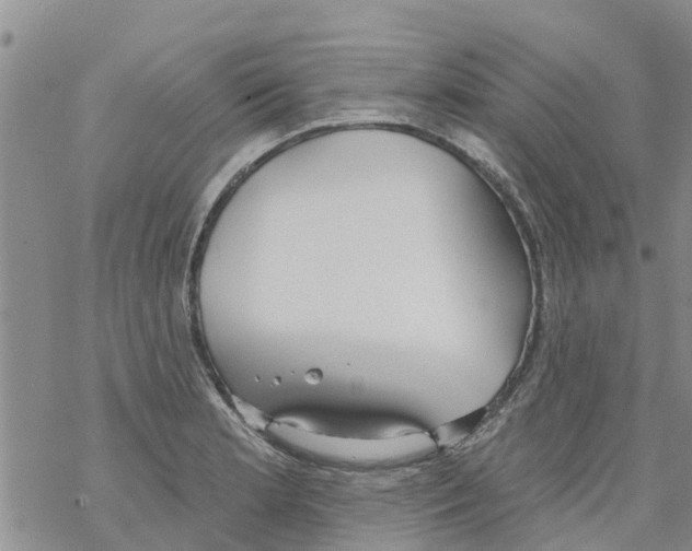 X0000068771181200605262158