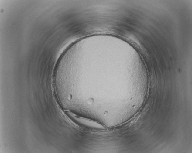 X0000068771182200605262158