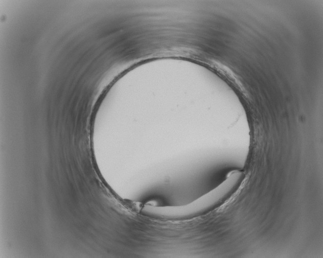 X0000068771184200605262158