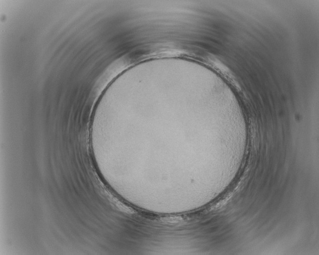 X0000068771186200605262158