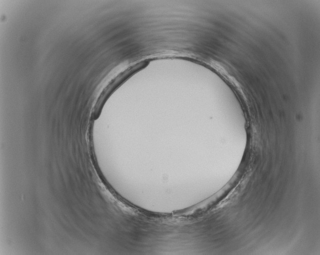 X0000068771189200605262158