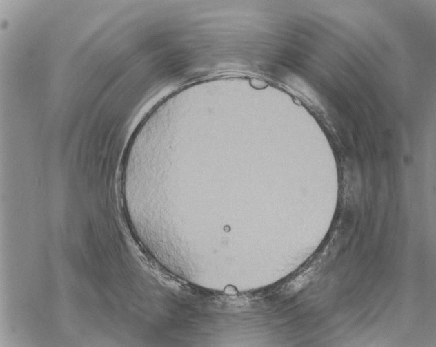 X0000068771190200605262158