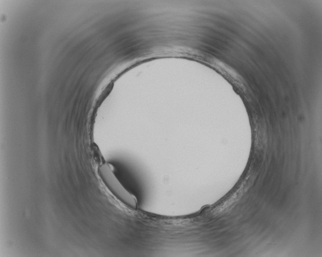 X0000068771192200605262158