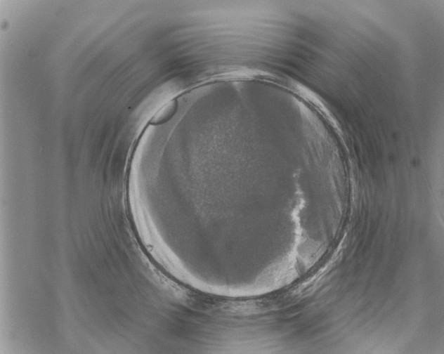 X0000068771194200605262158