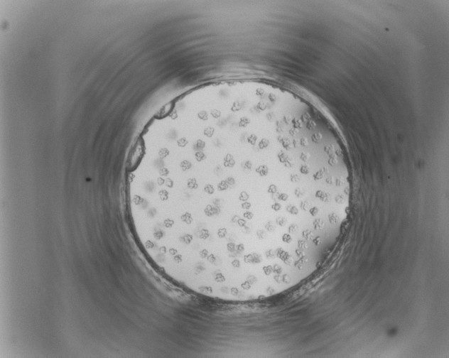 X0000068771195200605262158