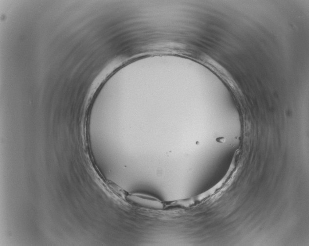 X0000068771196200605262158