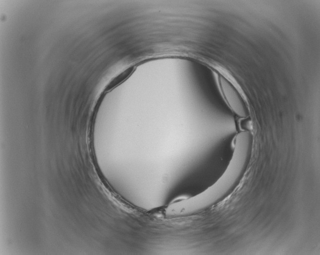 X0000068771197200605262158