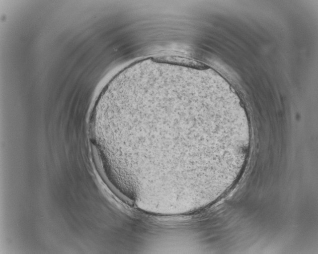 X0000068771200200605262158