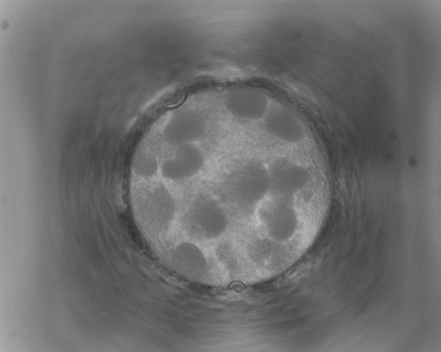 X0000068771205200605262157