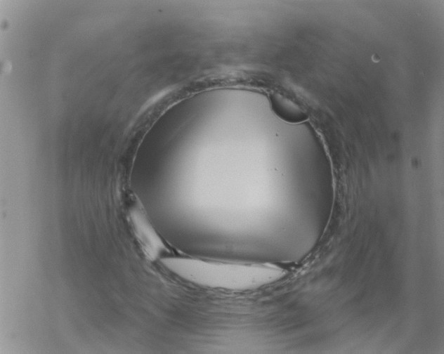 X0000068771206200605262157