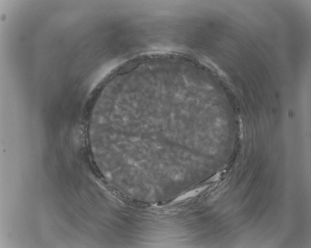 X0000068771208200605262157