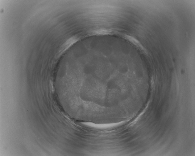 X0000068771209200605262157