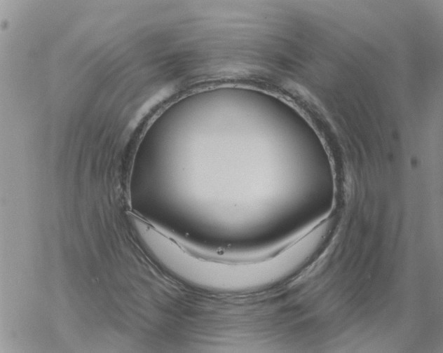 X0000068771210200605262158