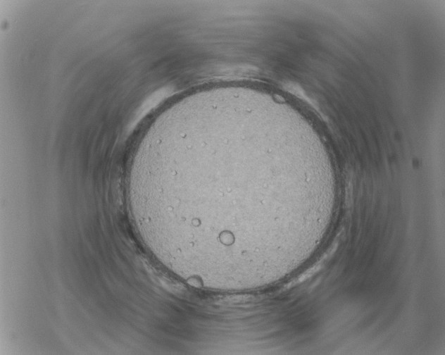 X0000068771211200605262158