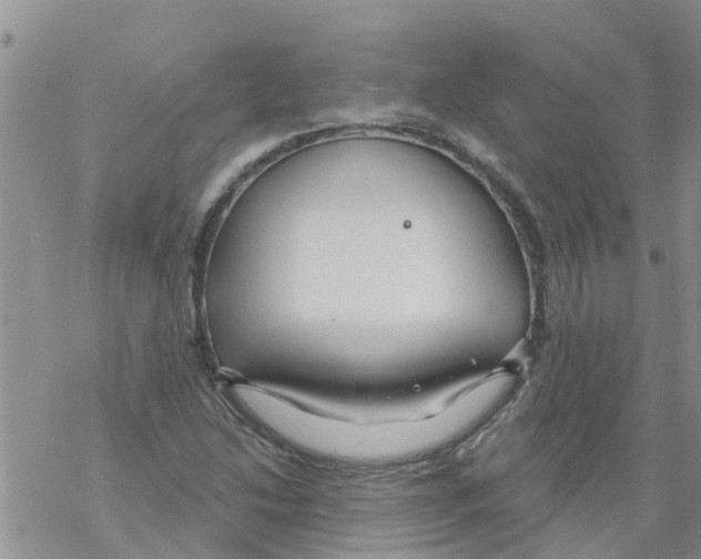 X0000068771214200605262158