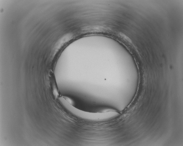 X0000068771218200605262158