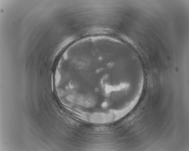 X0000068771219200605262158