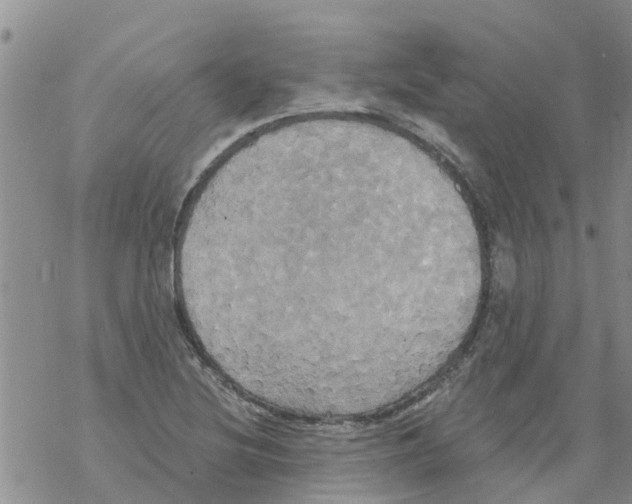 X0000068771220200605262158