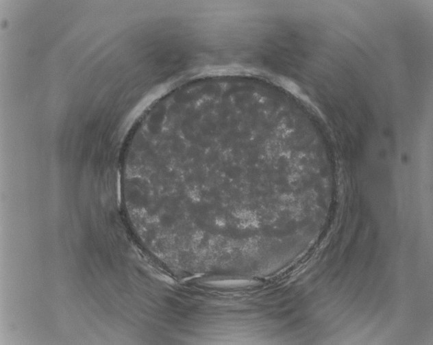 X0000068771221200605262158