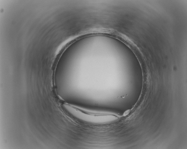 X0000068771222200605262158