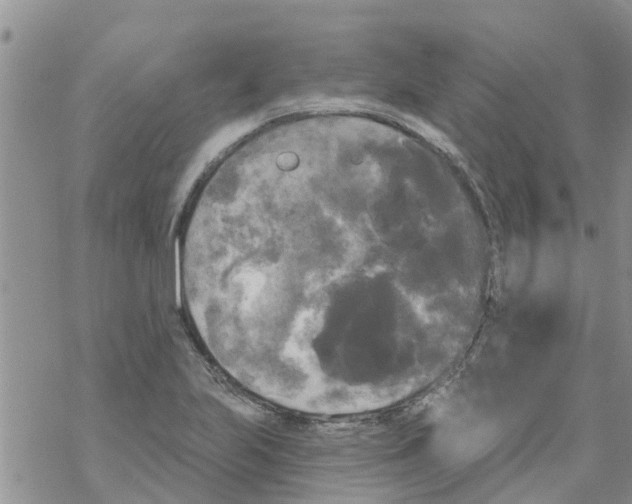 X0000068771223200605262158