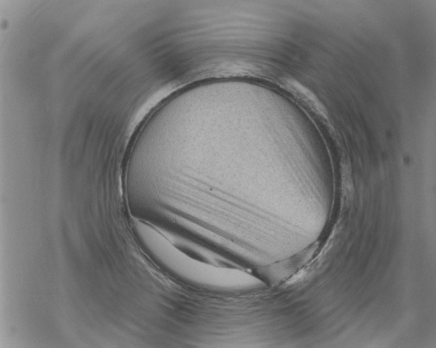 X0000068771226200605262158