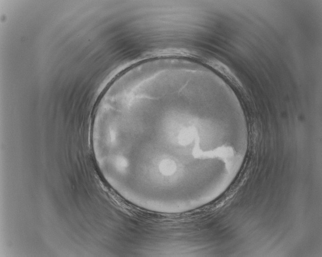 X0000068771228200605262158