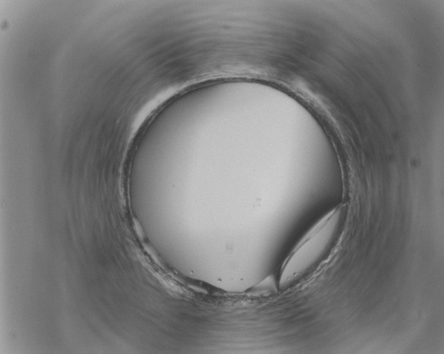 X0000068771230200605262158