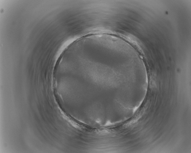 X0000068771231200605262158