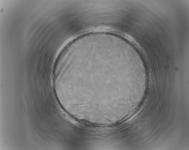 X0000068771232200605262158