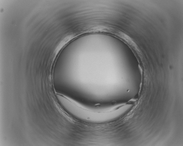 X0000068771234200605262158