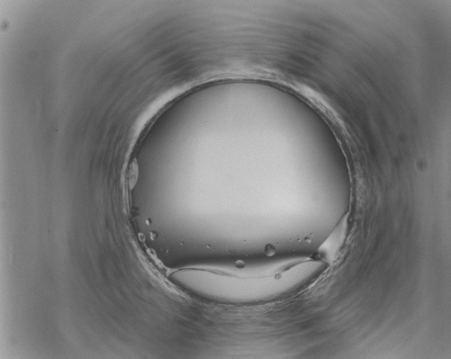 X0000068771238200605262158